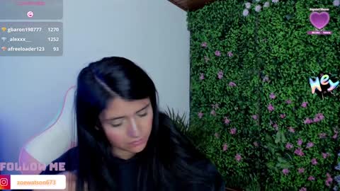 Snapshot of zoe_wattson chatting on 12.29.24 Zoe online show from 12.29.24