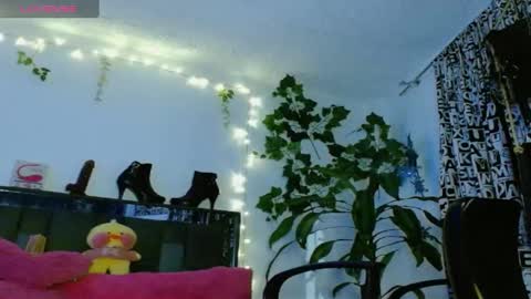 Snapshot of zoemi chatting on 01.24.25 zoemi online show from 01.24.25