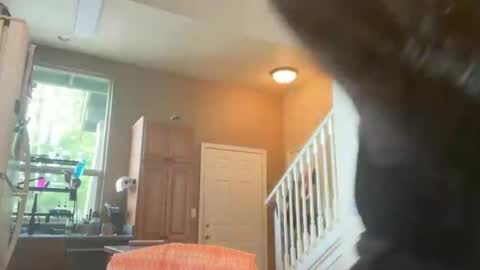 Zoeydanner online show from 02.17.26