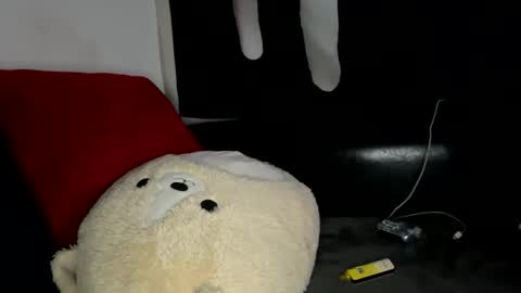 Snapshot of zylr chatting on 01.17.26 mixedtwinklol online show from 01.17.26