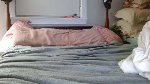 zymase online show from 12.07.24