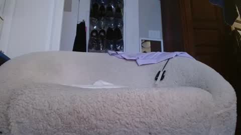 zymase online show from 01.04.25