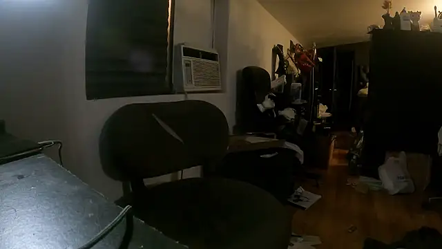 Snapshot of leanjamesdean chatting on 12.31.24 leanjamesdean online show from 12.31.24