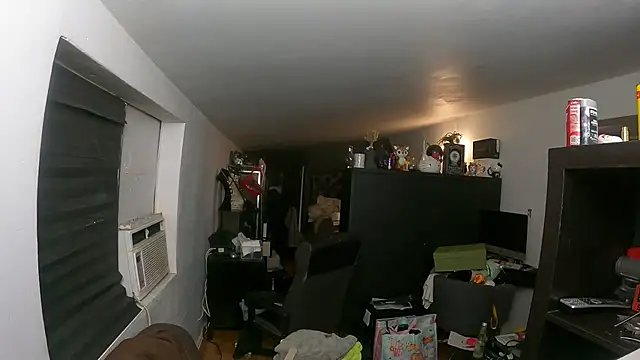 Snapshot of leanjamesdean chatting on 01.19.25 leanjamesdean online show from 01.19.25