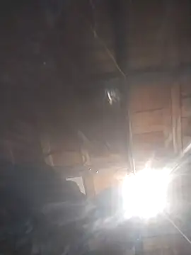 Spoonish online show from 01.11.26