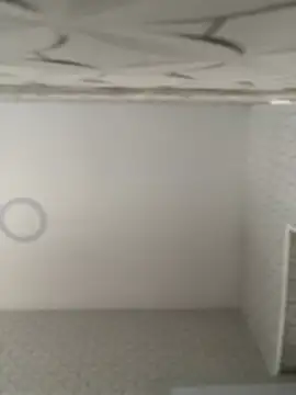 Lia flowers online show from 02.09.25