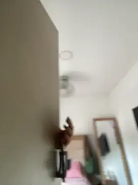 Lia flowers online show from 03.02.25