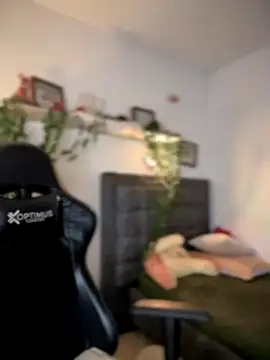 Lia flowers online show from 09.14.25