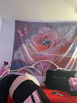 DominiqueX0 online show from 02.20.26