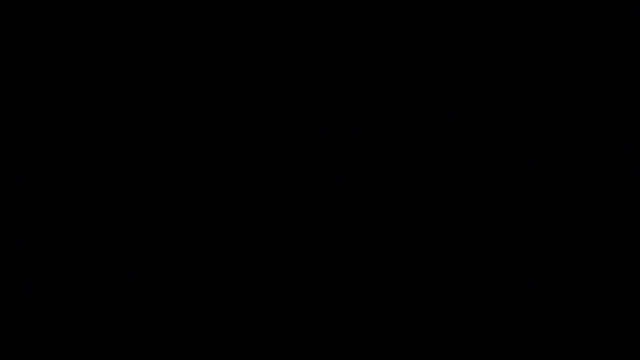 greydesire online show from 12.10.24