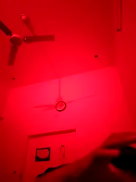 ZIMMY25 online show from 11.22.25