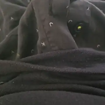 surfer fun29 online show from 12.02.25