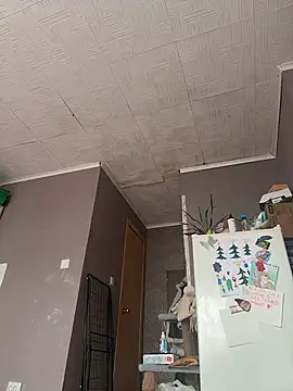 AmmyHot online show from 03.06.26