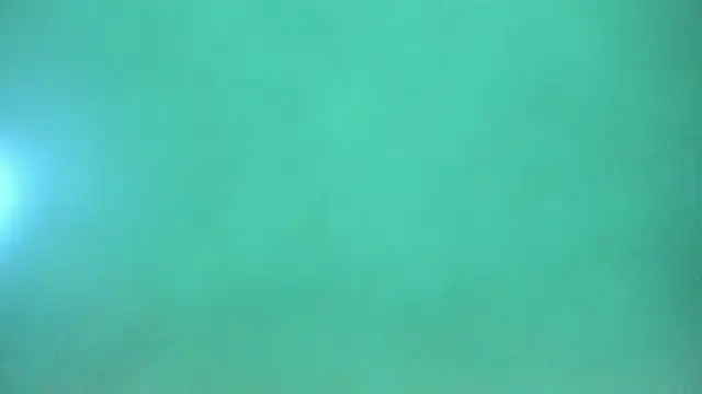 Harleysexycrazy online show from 12.12.24