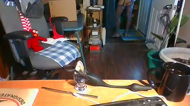 Daremeknot online show from 12.16.24