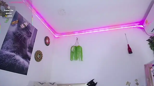 huge armound online show from 03.08.26