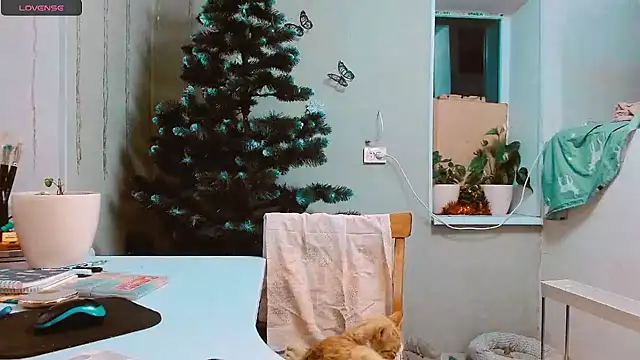 RosaJil online show from 12.17.24