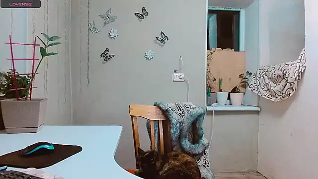 RosaJil online show from 01.28.25