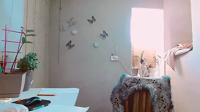 RosaJil online show from 02.12.25