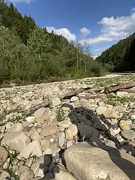 artXhibitor online show from 09.29.25