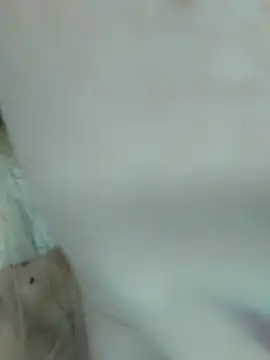 Elza kom online show from 03.01.25