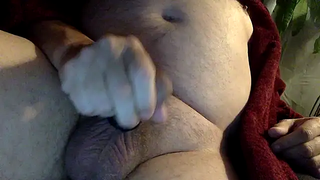 Thorandkitty online show from 04.08.26