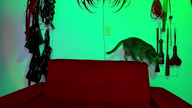 Snapshot of irregular_fetish_ chatting on 02.19.26 irregular fetish online show from 02.19.26