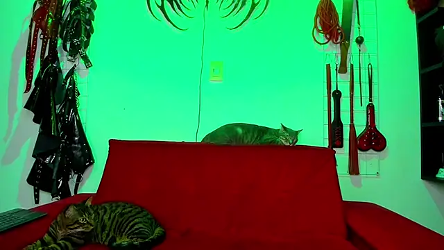 Snapshot of irregular_fetish_ chatting on 02.26.26 irregular fetish online show from 02.26.26