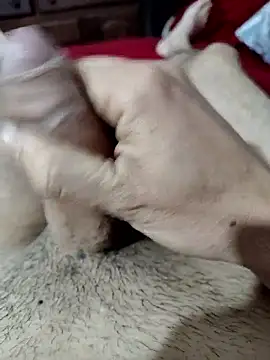 quierodarleche69 online show from 10.31.25