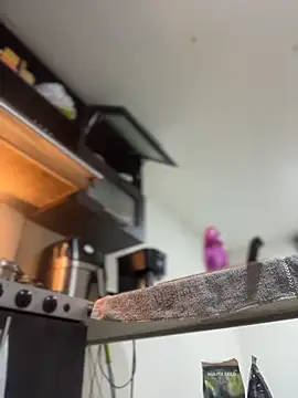 Snapshot of JulianaCastillo chatting on 04.02.26 JulianaCastillo online show from 04.02.26