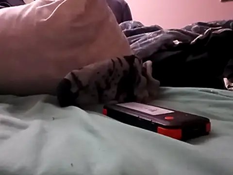 Blkstylion online show from 12.05.25