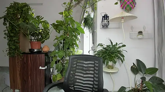 Oliver Nl online show from 11.17.25