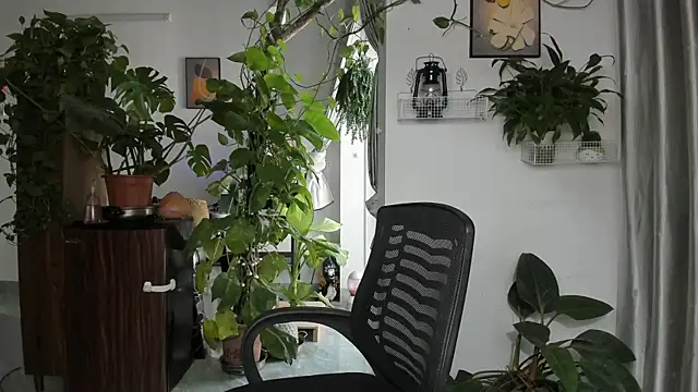 Oliver Nl online show from 11.28.25