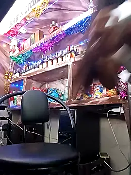 Snapshot of VivienAndClark chatting on 12.19.24 VivienAndClark online show from 12.19.24