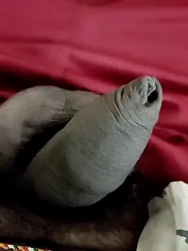 Ashish02345 online show from 01.24.25