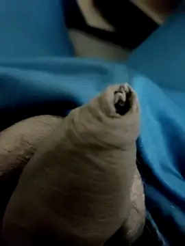 Ashish02345 online show from 01.28.25