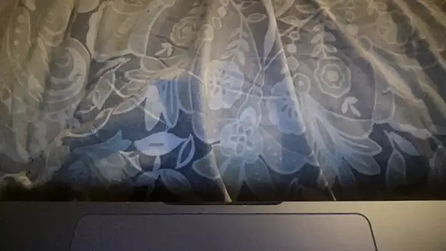 Dogz n daugthers online show from 03.21.26