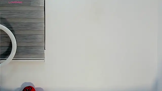 bella hadid1  online show from 11.11.25