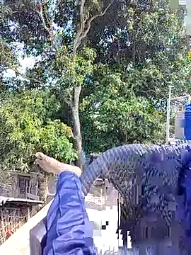 Snapshot of ErRakesh1 chatting on 11.10.25 ErRakesh1 online show from 11.10.25