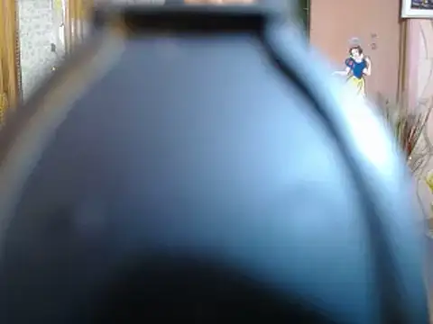 Snapshot of SohanaSabaSexy chatting on 01.29.25 SohanaSabaSexy online show from 01.29.25