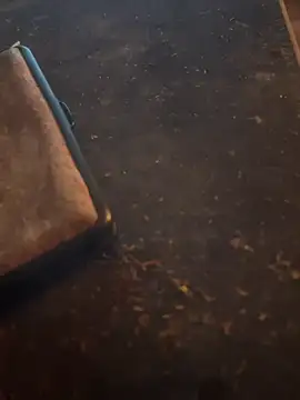 FreshWonder0 online show from 11.17.25