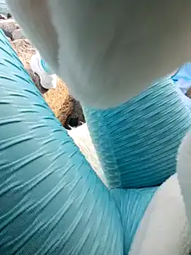 SexyErola27 online show from 01.24.25