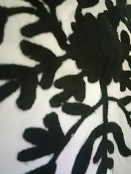 Snapshot of Kumkum_36 chatting on 11.15.25 Kumkum 36 online show from 11.15.25