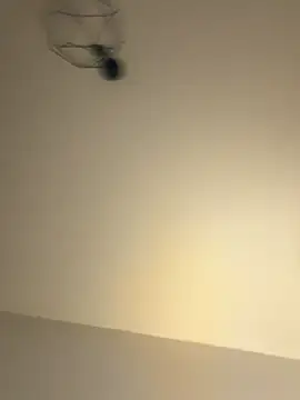 Guitccch online show from 01.17.26