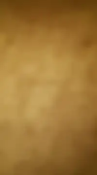 vinzpnr210 online show from 01.15.25