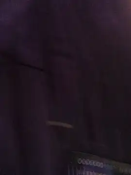 RandomGuy420lol online show from 01.09.26