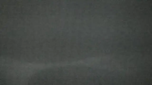 canela wet online show from 02.14.25