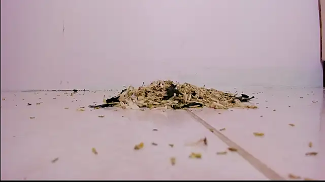 violeth hill online show from 02.27.25