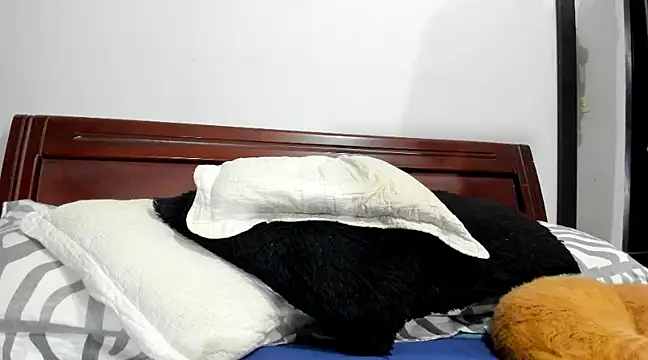 Snapshot of aleziiacam chatting on 02.14.25 aleziiacam online show from 02.14.25