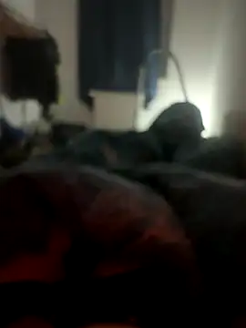 habbockwiesau online show from 11.24.25